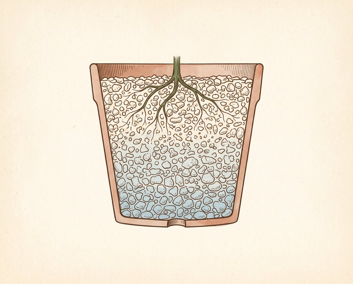 Cross-section of a tapered terracotta pot with a drainage hole at its base. The substrate is drawn as loose particles; the pores between them are filled with pale blue water at the bottom of the pot and progressively less so higher up, until the particles near the surface sit in open air. Fine roots are drawn in the upper part of the mix.