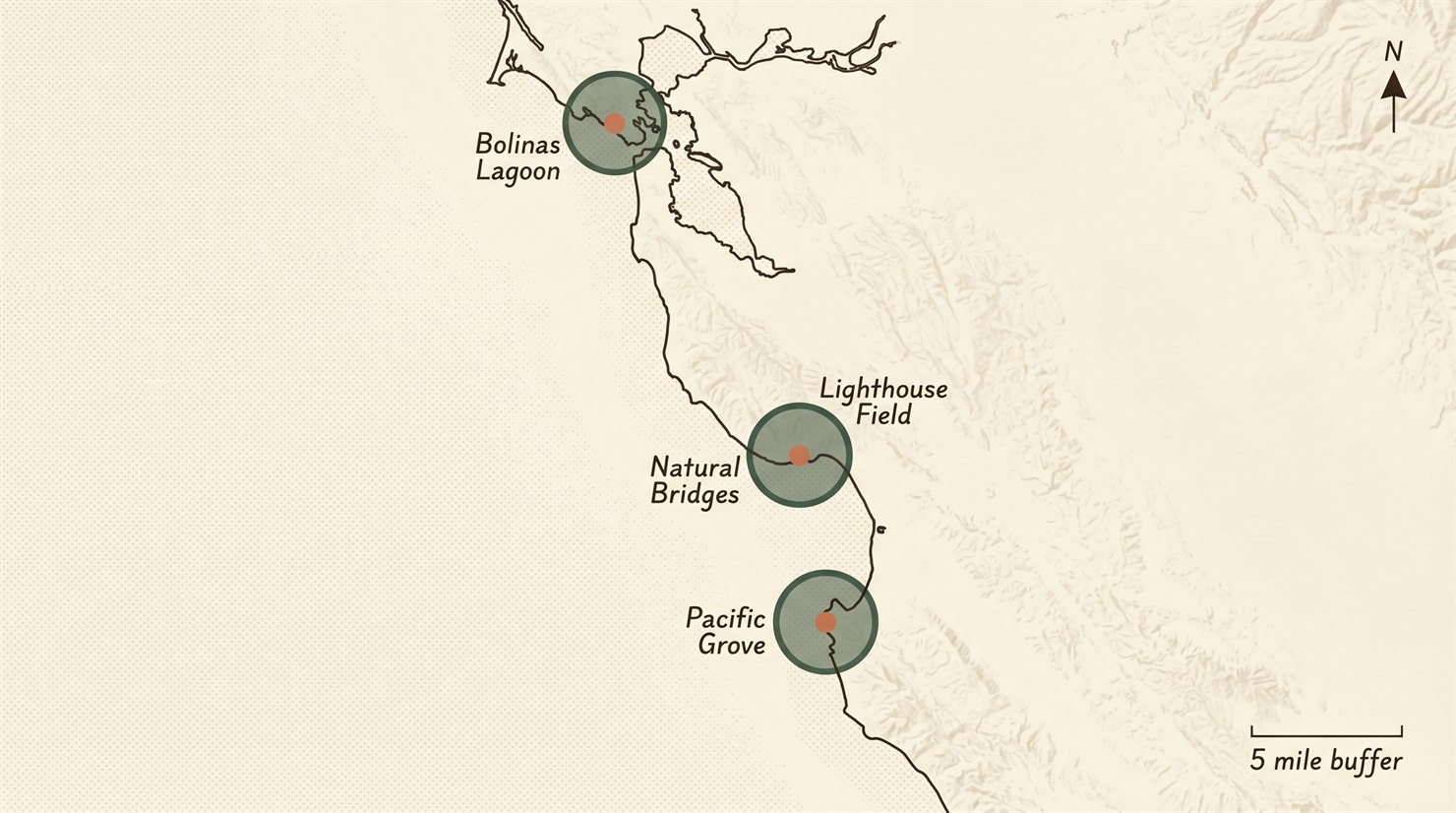 Stylized map showing the California coast from San Francisco Bay south through Monterey Bay, with four terracotta dots marking known monarch overwintering groves (Bolinas Lagoon, Lighthouse Field, Natural Bridges, Pacific Grove) and forest-pine rings around each indicating a five-mile no-milkweed buffer per Xerces Society guidance