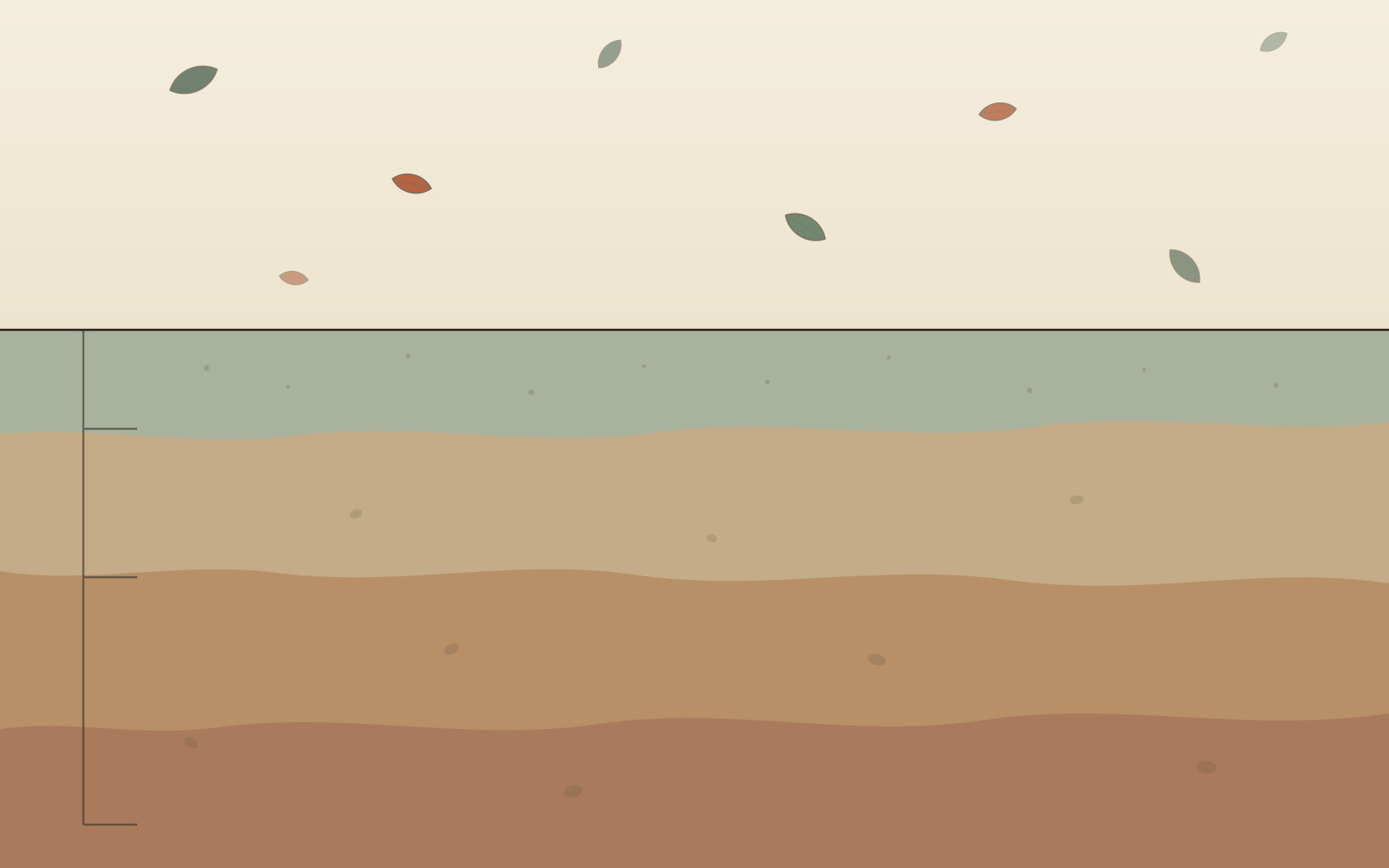 A flat illustration of green and rust leaves drifting through a cream sky above a soil profile drawn as four horizontal bands, cool grey-green at the surface deepening to warm brown, with a depth scale marked down the left edge.
