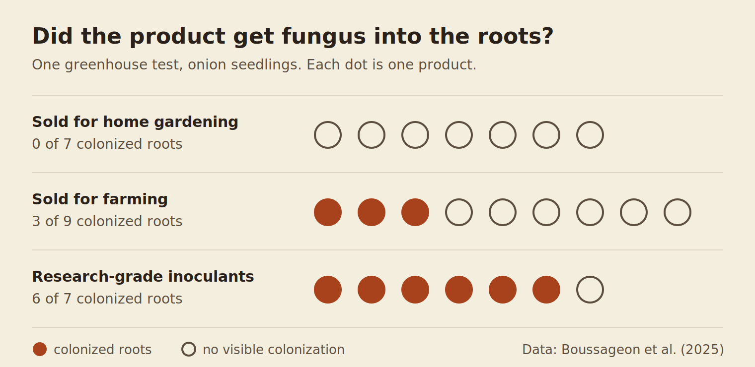 Dot chart, one dot per product. Sold for home gardening: 0 of 7 colonized roots. Sold for farming: 3 of 9. Research-grade inoculants: 6 of 7.