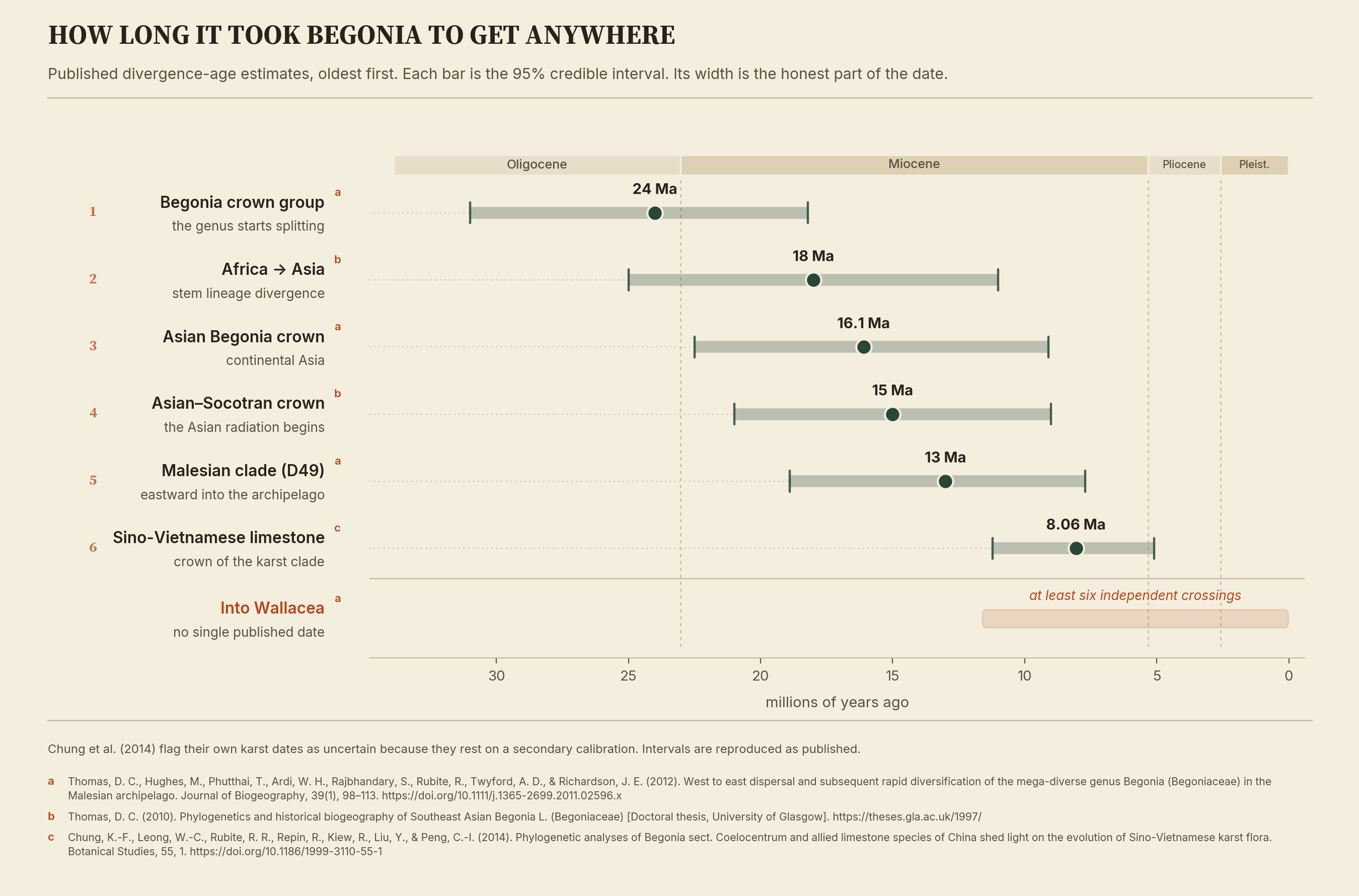 Horizontal interval chart on a geological time axis running from 30 million years ago to the present, showing six published divergence-age estimates for Begonia in order from oldest to youngest, each with its 95% credible interval: the Begonia crown group at 24 million years, the Africa-to-Asia stem lineage divergence at 18 million, the Asian Begonia crown at 16.1 million, the Asian-Socotran crown at 15 million, the Malesian clade at 13 million, and the Sino-Vietnamese limestone karst clade at 8.06 million. A separate band below the six marks at least six independent crossings into Wallacea, spanning the late Miocene to the Pleistocene, for which no single date is published. A ribbon across the top marks the Oligocene, Miocene, Pliocene and Pleistocene epochs.