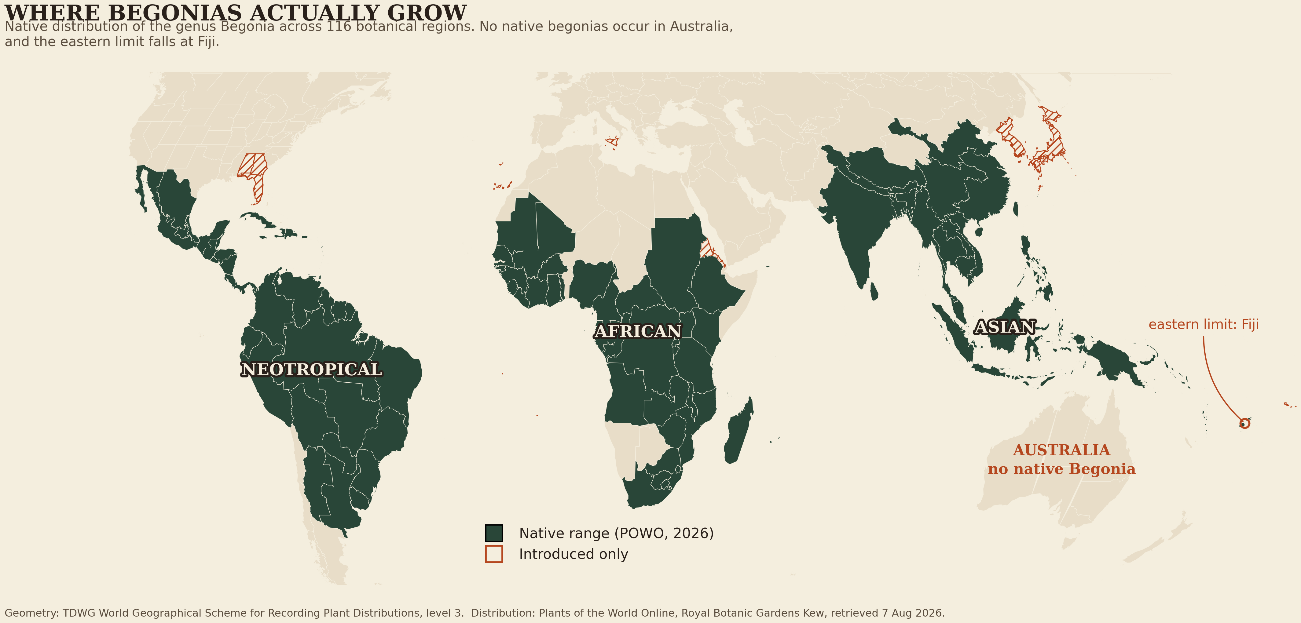 World map in Equal Earth projection showing the native range of the genus Begonia shaded dark green across 116 botanical regions of tropical America, tropical Africa, southern and southeastern Asia, and the southwest Pacific as far east as Fiji, with introduced-only regions such as Florida, Japan, Korea and the Canary Islands hatched in terracotta, and Australia labeled as having no native Begonia