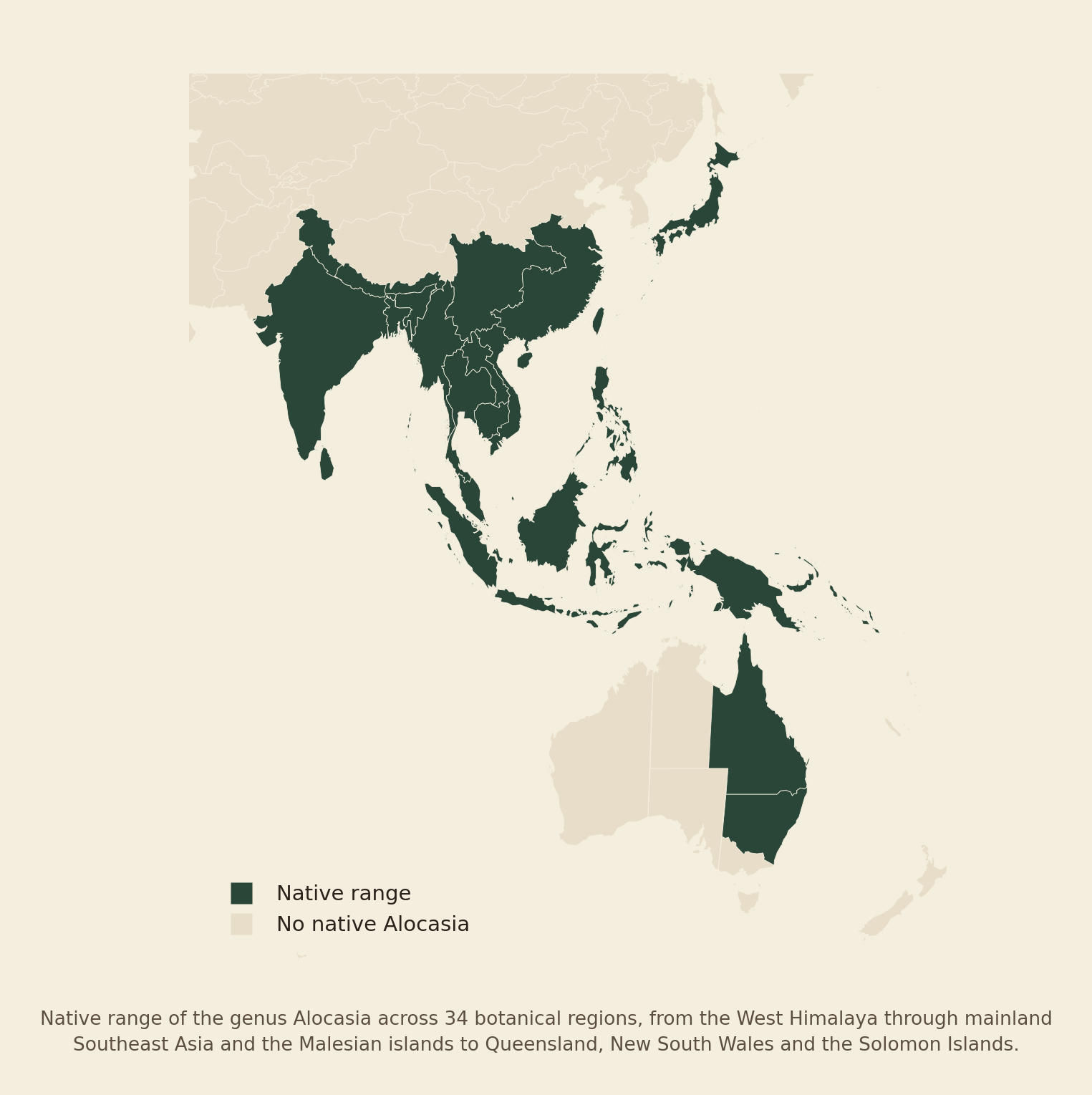 Map of southern and southeastern Asia and the western Pacific in Equal Earth projection. Thirty-four botanical regions are shaded dark green to mark the native range of Alocasia: India, Sri Lanka and the eastern Himalaya, southern China with Hainan and Taiwan, southern Japan and the Nansei-shoto, mainland Southeast Asia from Myanmar to Vietnam, the whole Malesian island arc from Malaya and Sumatra through Java, Borneo, Sulawesi and the Philippines to the Moluccas and New Guinea, the Bismarck Archipelago and Solomon Islands, and Queensland and New South Wales in eastern Australia. Central and western Australia, New Zealand and northern Asia are left pale, marking no native Alocasia.